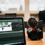Top Affordable AI Avatar Services for Local Businesses Compared