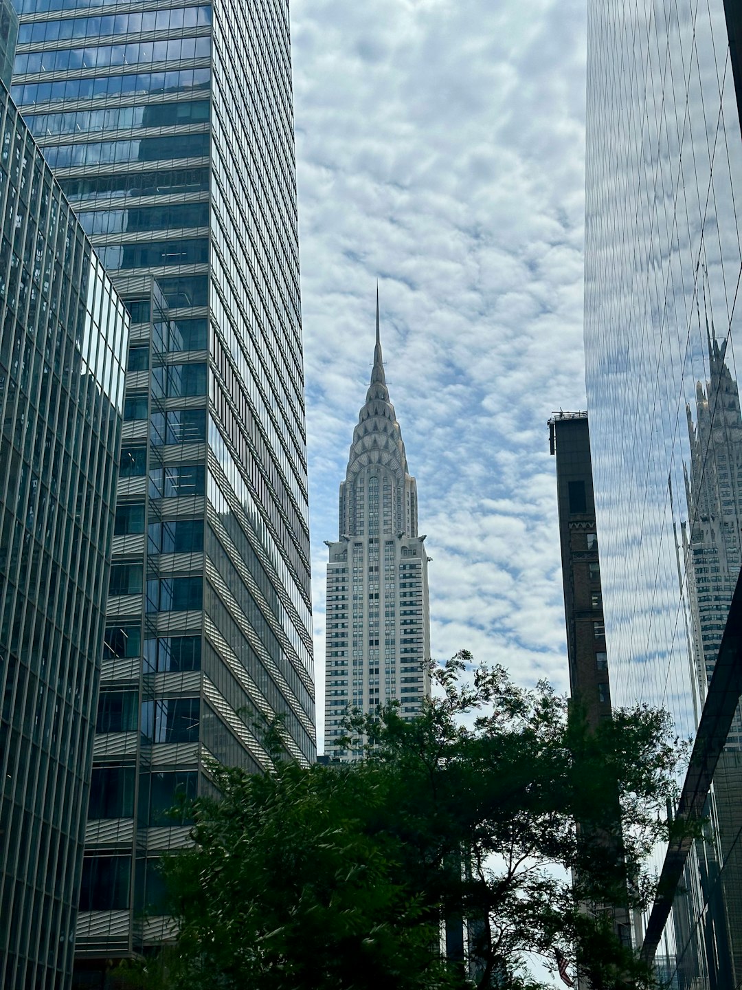 Tech Courses NYC for Career Changers: No Degree? No Problem