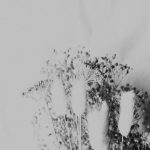 Exploring Fonendi: The Future of Innovative Technology