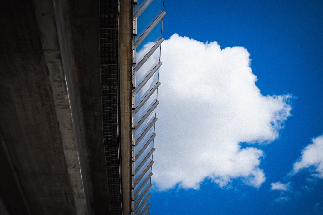 Top Everline Tech Products and Services Every U.S. Business Should Know About