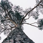Real-World Use Cases of TickTick and Outlook Working Together