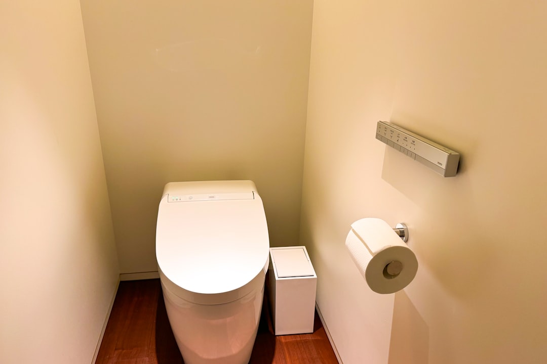 Toilet Seat Toilet: Cultural Design Differences