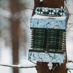 GraphQL Tools Like Insomnia For Testing GraphQL Queries