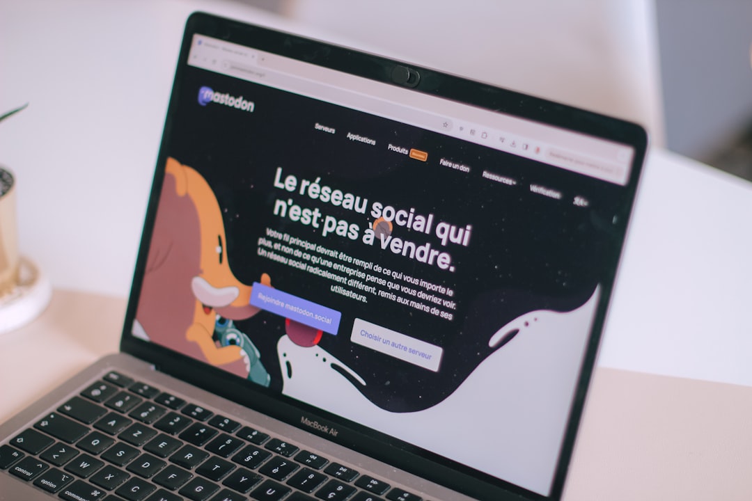 Tipos de SEO: Guía Completa para Principiantes